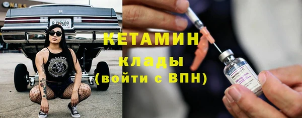 индика Алексин