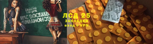 дмт Алзамай