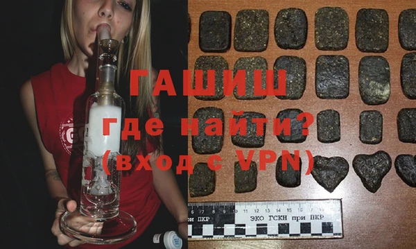 индика Алексин