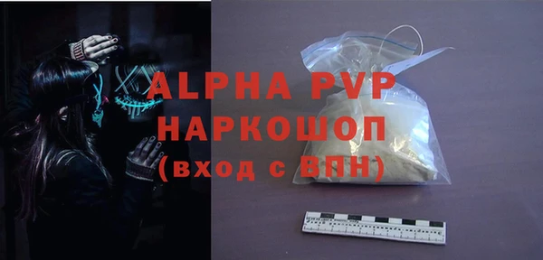 индика Алексин