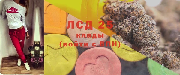 индика Алексин