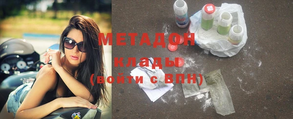 индика Алексин