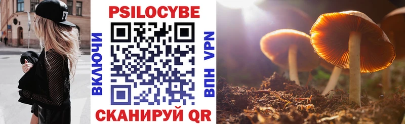 Галлюциногенные грибы Magic Shrooms  купить наркотик  гидра сайт  Удомля 