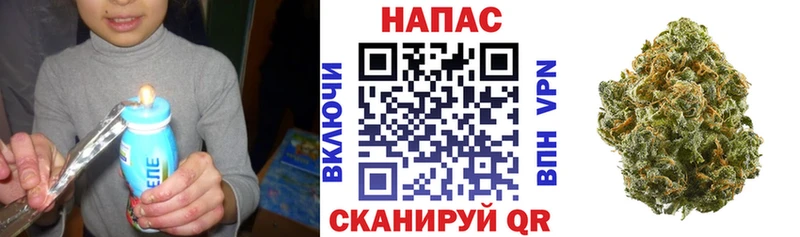 Шишки марихуана планчик  Удомля 